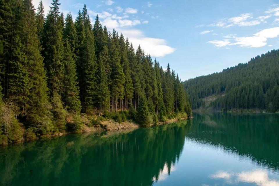 camping aviator, numai TEREN, campare pentru rulote autorulote PERSONALE, Buşteni Exterior foto